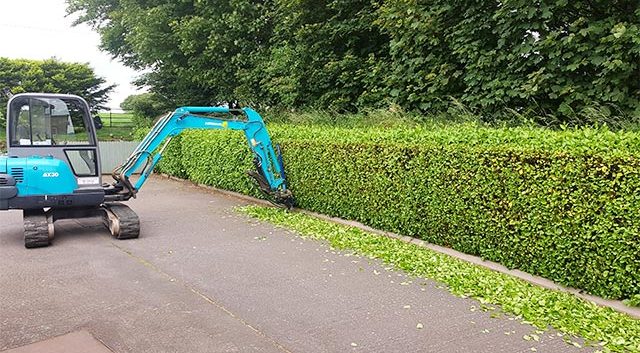 Hegarty Hedge Cutting Cork city